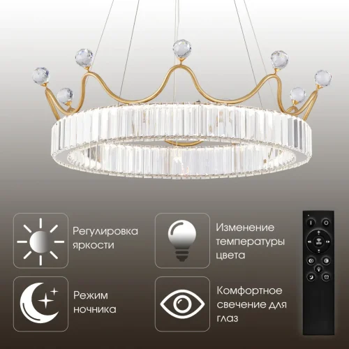 Люстра подвесная LED с пультом AM-Venezia 310322/D600 GD Arte Milano прозрачная на 1 лампу, основание латунь в стиле современный кольца с пультом фото 12