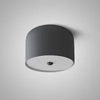 Светильник потолочный CYLINDER A Black 178349-26 ImperiumLoft чёрный 1 лампа, основание чёрное в стиле современный скандинавский 