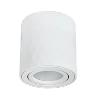 Светильник накладной Fang A5559PL-1WH Arte Lamp белый 1 лампа, основание белое в стиле модерн круглый