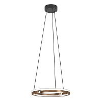Светильник подвесной LED Mezzomonte 901826 Eglo бронзовый на 1 лампу, основание чёрное в стиле современный хай-тек кольца