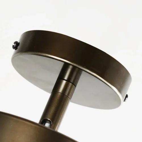 Светильник потолочный LED Atma 3060-1P F-promo коричневый 1 лампа, основание коричневое в стиле современный  фото 4