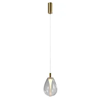 Светильник подвесной LED Hopper 4257-2P Favourite прозрачный на 1 лампу, основание латунь в стиле современный 