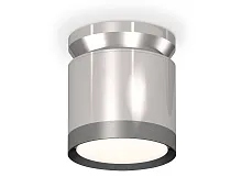 Светильник накладной XS8120010 Ambrella light серебряный 1 лампа, основание серебряное в стиле хай-тек круглый