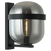 Бра LSP-8510 Lussole серый 1 лампа, основание чёрное в стиле лофт 