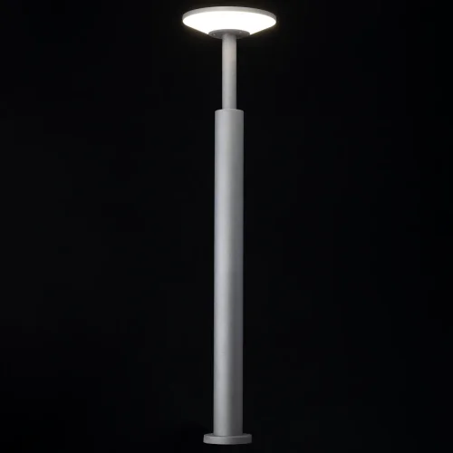 Парковый светильник LED Dorn CLU05B Citilux уличный IP65 графит 1 лампа, плафон графит в стиле современный LED фото 4