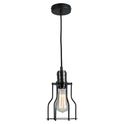 Светильник подвесной лофт Baldwin GRLSP-9610 Lussole чёрный 1 лампа, основание чёрное в стиле лофт  фото 2