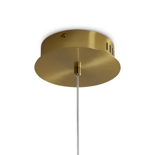 Светильник подвесной LED Awella FR6135PL-L9BT Freya прозрачный 1 лампа, основание латунь в стиле современный арт-деко  фото 2