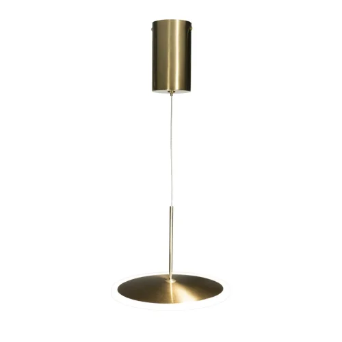 Светильник подвесной LED Ruedo 10036/200 LOFT IT золотой 1 лампа, основание золотое в стиле модерн хай-тек  фото 5