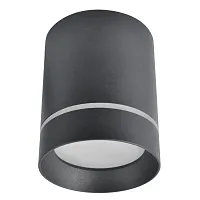 Светильник накладной LED Elle A1909PL-1BK Arte Lamp чёрный 1 лампа, основание чёрное в стиле современный круглый