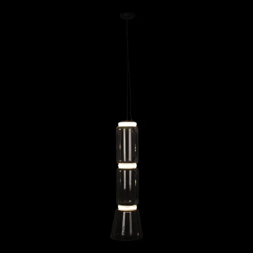 Светильник подвесной LED Noctambule 10193/M LOFT IT прозрачный 1 лампа, основание чёрное в стиле современный  фото 2