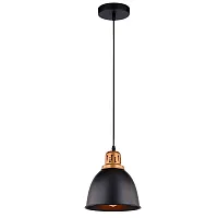 Светильник подвесной лофт Eurica A4245SP-1BK Arte Lamp чёрный 1 лампа, основание чёрное в стиле лофт 