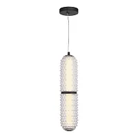 Светильник подвесной LED Saguaro SL6144.403.01 ST-Luce прозрачный на 1 лампу, основание чёрное в стиле современный 