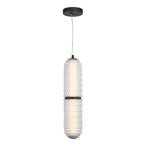 Светильник подвесной LED Saguaro SL6144.403.01 ST-Luce прозрачный на 1 лампу, основание чёрное в стиле современный 