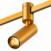 Трековый светильник LED Farm ST811.246.05 ST-Luce золотой для шинопроводов серии Farm золотой