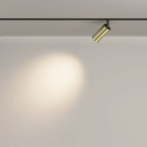 Трековый светильник LED Magnetic track system Exility TR032-2-5W3K-M-BBS Maytoni латунь для шинопроводов серии Magnetic track system Exility чёрный латунь фото 17