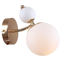 Бра LSP-8721 Lussole белый 1 лампа, основание золотое в стиле современный 