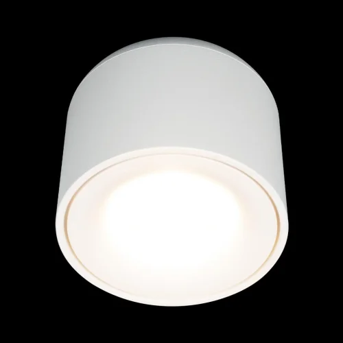 Светильник накладной LED Tictac 10219 White 3000K LOFT IT белый 1 лампа, основание белое в стиле современный круглый фото 2