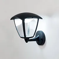 Настенный светильник LED CLU04W1 Citilux уличный IP54 чёрный 1 лампа, плафон прозрачный в стиле современный LED