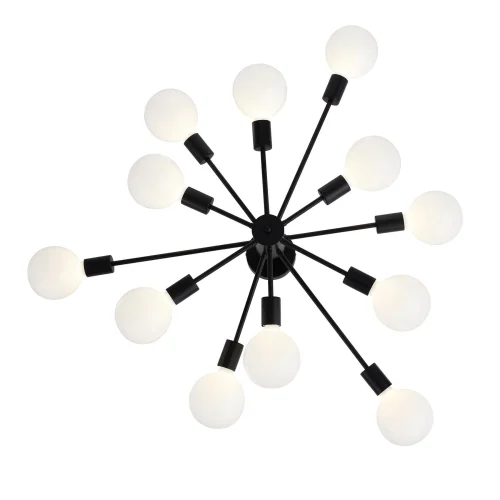 Люстра потолочная лофт Ano SL419.402.12 Evoluce без плафона на 12 ламп, основание чёрное в стиле лофт  фото 4