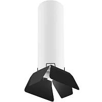 Светильник накладной Rullo R496437 Lightstar чёрный белый 1 лампа, основание белое в стиле хай-тек круглый