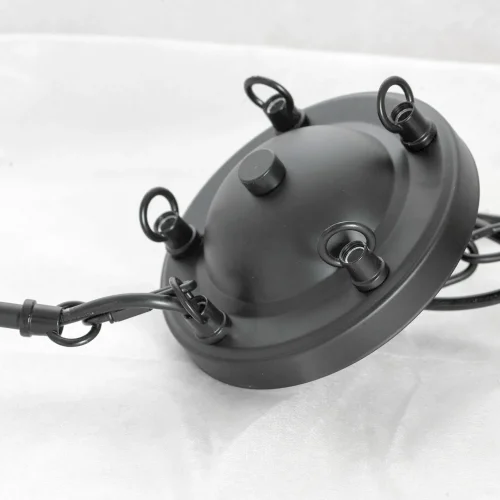 Люстра подвесная Carrollton LSP-8735 Lussole без плафона на 10 ламп, основание чёрное в стиле кантри  фото 5