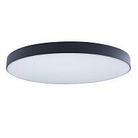 Светильник потолочный LED Axel 10002/48 Black LOFT IT купить в интернет магазине уютный-свет.рф