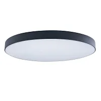 Светильник потолочный LED Axel 10002/48 Black LOFT IT белый 1 лампа, основание чёрное в стиле современный тарелка