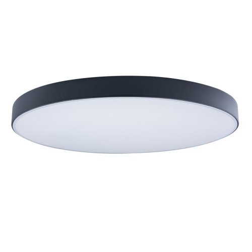 Светильник потолочный LED Axel 10002/48 Black LOFT IT белый 1 лампа, основание чёрное в стиле модерн 