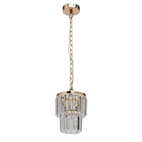 Светильник подвесной Аделард 642014301 MW-Light прозрачный 1 лампа, основание золотое в стиле классический 