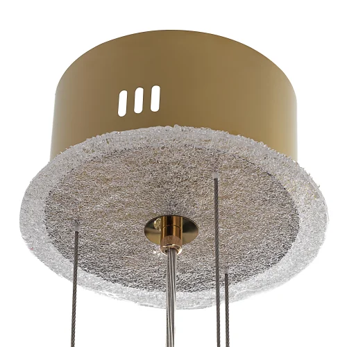 Люстра подвесная Deltoro CL327160 Citilux прозрачная на 1 лампу, основание золотое в стиле современный флористика арт-деко фото 4