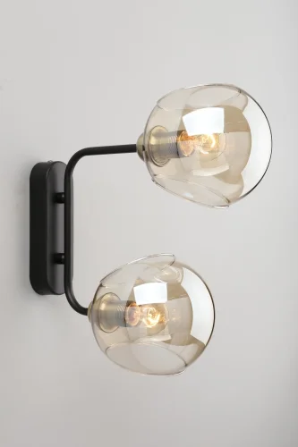 Бра лофт Fasano OML-94201-02 Omnilux прозрачный янтарный на 2 лампы, основание чёрное в стиле лофт  фото 2