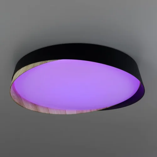 Светильник потолочный LED RGB с пультом Bonny CL754351G Citilux белый 1 лампа, основание чёрное в стиле современный хай-тек круглый с пультом фото 7