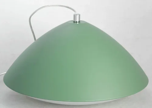 Светильник подвесной LED Aberdeen LSP-8229 Lussole зелёный 1 лампа, основание хром в стиле современный  фото 2