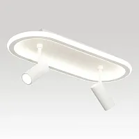 Светильник потолочный LED Harris LSP-7281 Lussole белый 1 лампа, основание белое в стиле современный хай-тек трубочки