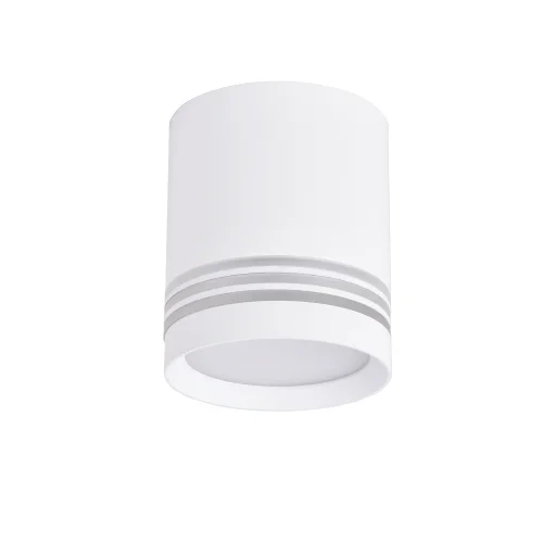 Светильник накладной Darar 3065-1C Favourite белый 1 лампа, основание белое в стиле современный круглый фото 2