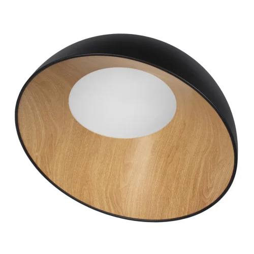 Светильник потолочный LED Egg 10197/500 Black LOFT IT белый чёрный коричневый 1 лампа, основание коричневое чёрное в стиле современный  фото 3