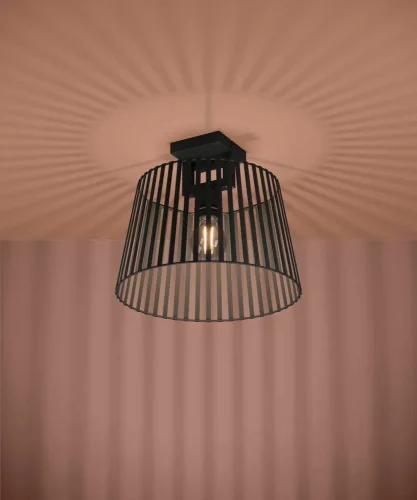 Светильник потолочный Bogota 390001 Eglo чёрный на 1 лампу, основание чёрное в стиле современный фото 2