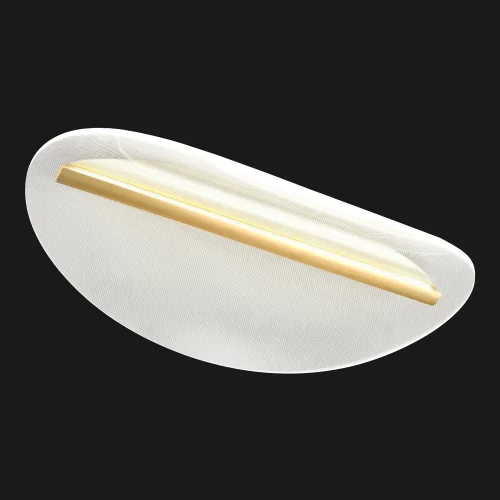 Светильник потолочный LED Lampasas LSP-7422 Lussole прозрачный на 1 , основание матовое золото в стиле современный хай-тек фото 2