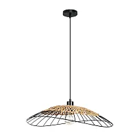 Светильник подвесной Woodstock A7061SP-1BK Arte Lamp коричневый чёрный на 1 лампу, основание чёрное в стиле кантри лофт современный 