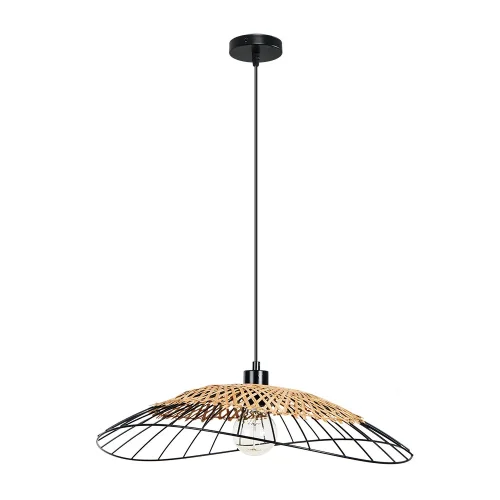 Светильник подвесной Woodstock A7061SP-1BK Arte Lamp коричневый чёрный на 1 лампу, основание чёрное в стиле лофт современный кантри 