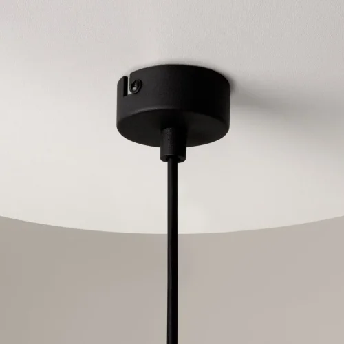 Светильник подвесной Ros MOD227PL-01B1 Maytoni чёрный прозрачный 1 лампа, основание чёрное в стиле современный  фото 6