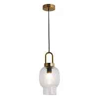Светильник подвесной Laredo LSP-8843 Lussole прозрачный 1 лампа, основание бронзовое в стиле современный лофт 