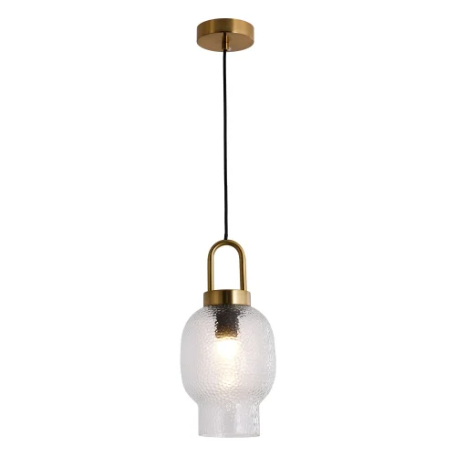 Светильник подвесной Laredo LSP-8843 Lussole прозрачный 1 лампа, основание бронзовое в стиле современный лофт 
