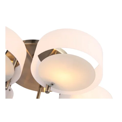 Люстра потолочная Foresta SL483.352.05 Evoluce белая на 5 ламп, основание бронзовое в стиле современный  фото 3