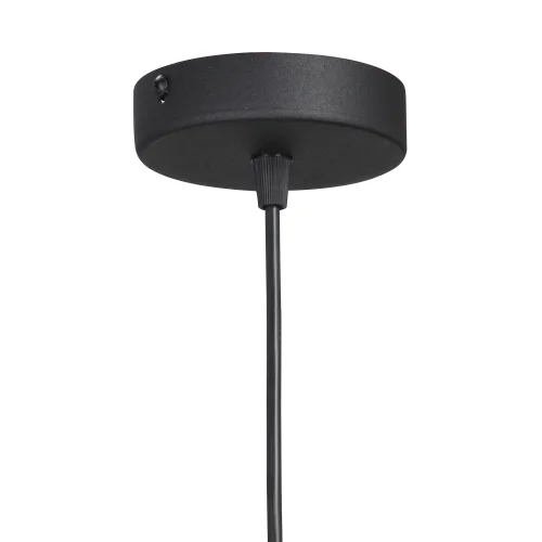 Светильник подвесной V2925-1/1S Vitaluce чёрный 1 лампа, основание чёрное в стиле арт-деко  фото 2