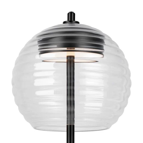Настольная лампа LED Rueca P060TL-L12BK Maytoni прозрачная 1 лампа, основание чёрное металл в стиле современный хай-тек  фото 6