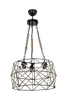 Светильник подвесной Карил (Caryl) TL1647R-03BK Toplight чёрный на 3 лампы, основание чёрное в стиле кантри лофт 