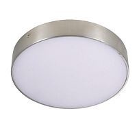 Светильник потолочный LED Evon APL.0114.19.12 Aployt купить в интернет магазине уютный-свет.рф