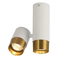 Светильник накладной Gilbert LSP-8829 Lussole белый бронзовый 2 лампы, основание белое в стиле хай-тек современный круглый