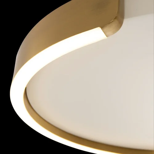 Светильник потолочный LED Circle 10026 LOFT IT белый матовый латунь 1 лампа, основание матовое латунь в стиле хай-тек современный  фото 4